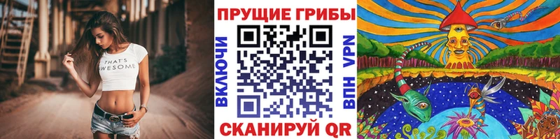 сколько стоит  Тихвин  Галлюциногенные грибы Magic Shrooms 