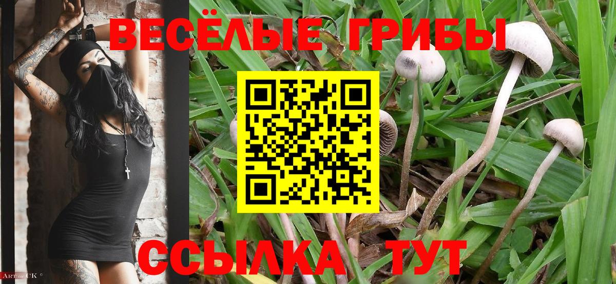 Псилоцибиновые грибы ЛСД  Вход с VPN  Тихвин 
