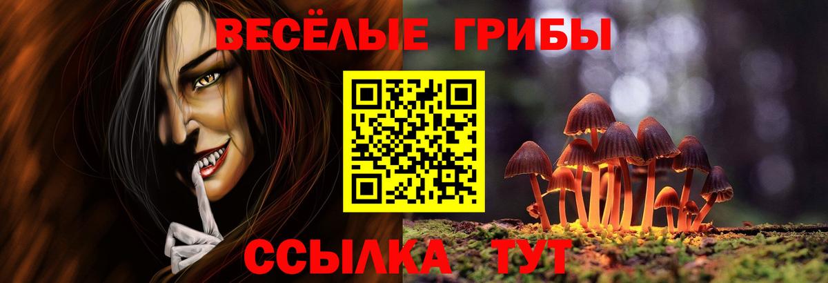 Псилоцибиновые грибы ЛСД Тихвин
